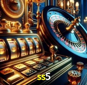 Interface Premium ss5